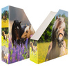 HERMA Porte-revue 'Pré à chevaux', A4, carton, (L)85 mm