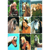 HERMA Sticker DECOR Monde du cheval, en papier