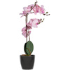 PAPERFLOW Plante artificielle 'orchidée', (H)500 mm, rose