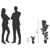 PAPERFLOW Plante artificielle 'caoutchouc', hauteur: 360 mm