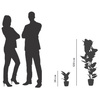 PAPERFLOW Plante artificielle 'caoutchouc', hauteur: 360 mm