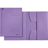 LEITZ chemise-trieur, format A4, carton robuste coloré 430