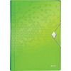 LEITZ Trieur ménager WOW, A4, PP, 6 compartiments, vert
