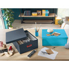 LEITZ Boîte de rangement Click & Store Cosy L, jaune