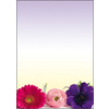 sigel Papier à motif, A4, 90 g/m2, motif 'Sunflower'