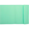 EXACOMPTA Chemise SUPER 250, A4, vert pré - 831000545