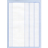 ELVE Piqûre comptable à colonnes, 310 x 210 mm, 100 pages