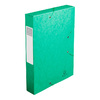 EXACOMPTA Boîte de classement Cartobox, A4, 60 mm, vert - 52182