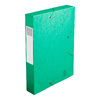 EXACOMPTA Boîte de classement Cartobox, A4, 60 mm, vert - 52182