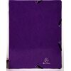 EXACOMPTA Classeur à anneaux Iderama, 2 anneaux, A4, violet