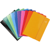 EXACOMPTA Pochette document à soufflet Iderama, A4, assorti