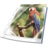 DURABLE Pochette perforée PREMIUM, A4, PP, bord bleu