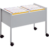 DURABLE Chariot pour dossiers suspendus 'Economy 100 DUO'