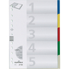 DURABLE Intercalaires en plastique, A4, PP, 5 touches
