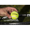 SCHILDKRÖT Balle de tennis, set de 3, jaune
