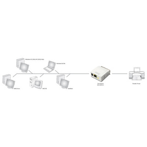 DIGITUS Serveur d'impression Fast Ethernet, parallèle, blanc