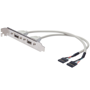 DIGITUS Equerre de slot USB 2.0, USB-A-IDC 5 broches, 0,25 m