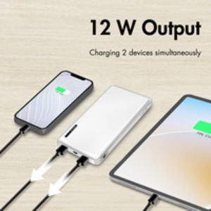 LogiLink Powerbank, 10.000 mAh, 2 USB-A, noir