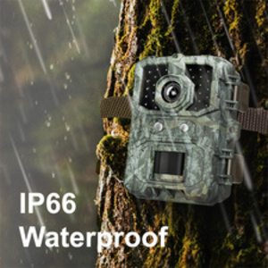 LogiLink Caméra pour la faune