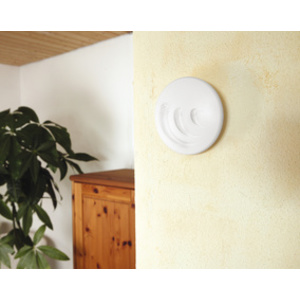 ANSMANN Pile alcaline 'RED', Mignon AA, blister de 4