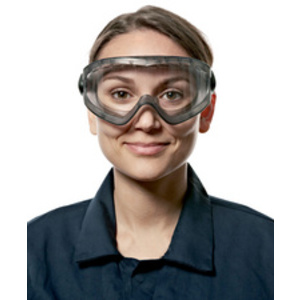 3M Lunettes de protection à grande visibilité 2890SC, teint