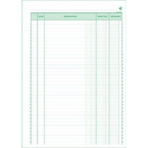 EXACOMPTA Manifold 'Recettes et Dépenses', 297 x 210 mm  - 27033