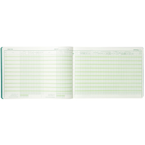 EXACOMPTA Piqûre 'Recettes/Dépenses professions libérales'