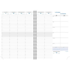 EXACOMPTA Agenda de bureau 'Consultations 29 S', 2026, bleu