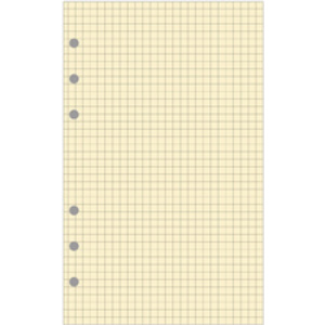 EXACOMPTA Recharge pour Exatime 21, feuillet quadrillé 5 x 5