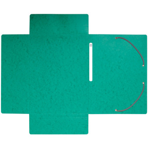 EXACOMPTA Chemise à élastiques Maxi Capacity, A4, vert  - 53209