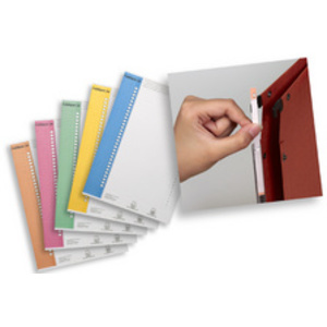 ELBA l'oblique Etiquettes pour dossiers suspendus, Nr. 9  - 53390