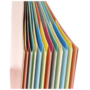 extendos Trieur à élastique série 237,12 compartiments,jaune  - 59930