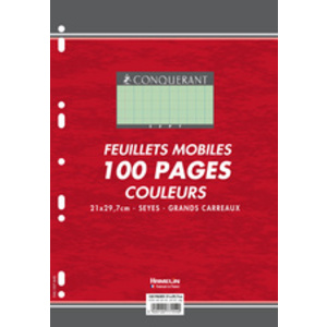 Oxford Feuillets mobiles en couleur, seyès, bleu