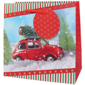 CACTUS Sac cadeau de Noël 'Petite voiture', petit