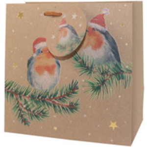 CACTUS Sac cadeau de Noël 'ho ho ho', petit