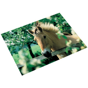 Läufer Sous-main cheval et poulain, 400 x 530 mm