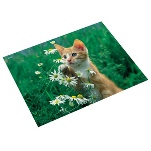 Läufer Sous-main 'chats dans les pailles', 400 x 530 mm