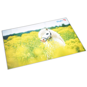 Läufer Sous-main cheval à la cl'ture, 400 x 530 mm