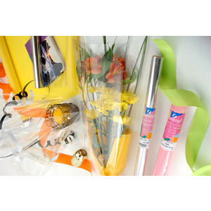 CANSON Film polycristal, 35 microns, en rouleau, transparent