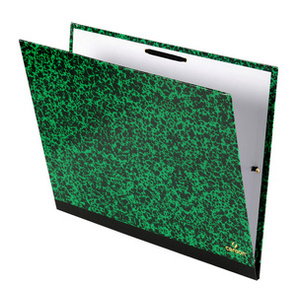 CANSON Carton à dessin STUDIO, 260 x 330 mm, Vert Annonay