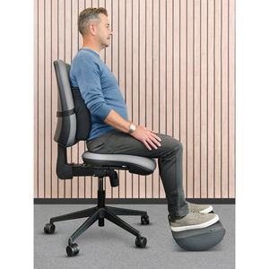 Fellowes Coussin de dossier confort Breyta, noir