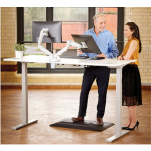 Fellowes Bras porte-écrans double Eppa, blanc