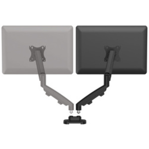 Fellowes Kit de bras porte-écrans double Eppa,argent
