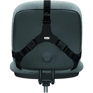 Fellowes dossier Professionnel Series Profi, repose dos,noir