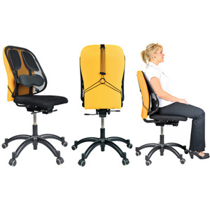 Fellowes Support dorsal en maille Professionnel Series, noir