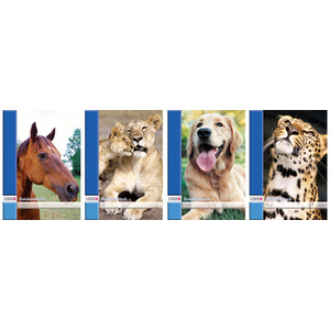 LANDRE Bloc à dessin, format A4, 100 g/m2, 40 pages, perforé