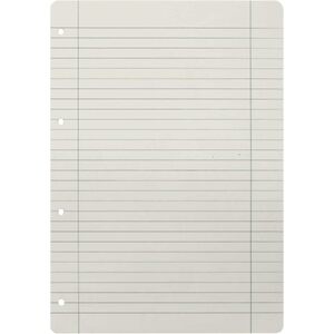 LANDRE Feuillets mobiles 'pro terra', A4, ligné