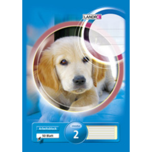 LANDRE Bloc scolaire 'pro terra', format A4, linéature 2