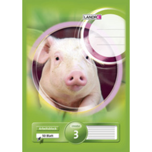 LANDRE Bloc scolaire 'pro terra', format A4, linéature 3