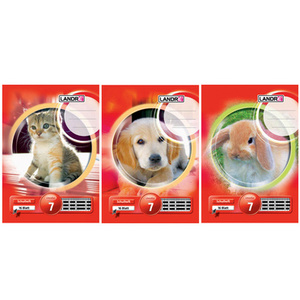 LANDRE cahier au format A4, linéature 2 / ligné, 16 feuiles